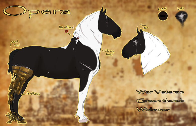 Character Reference $65+